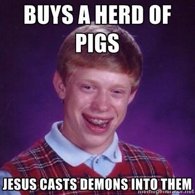 bad luck brian herd of pigs