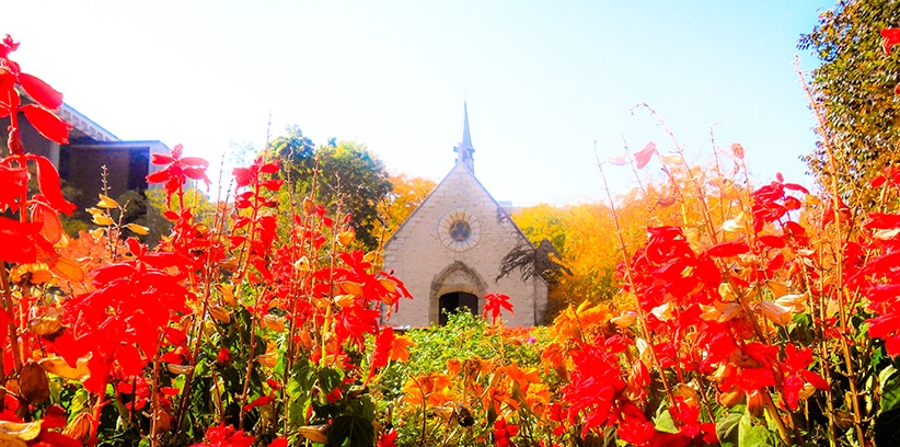 Seven Shrines In The American Midwest || St. Joan of Arc Chapel, Marquette University, Milwaukee, Wisconsin