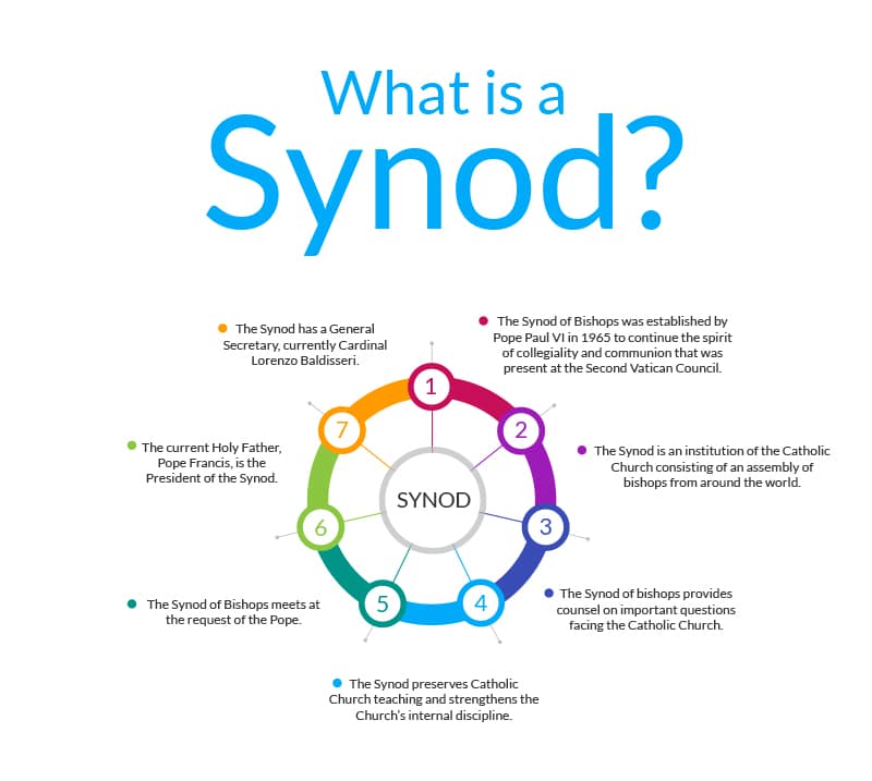 What is a synod
