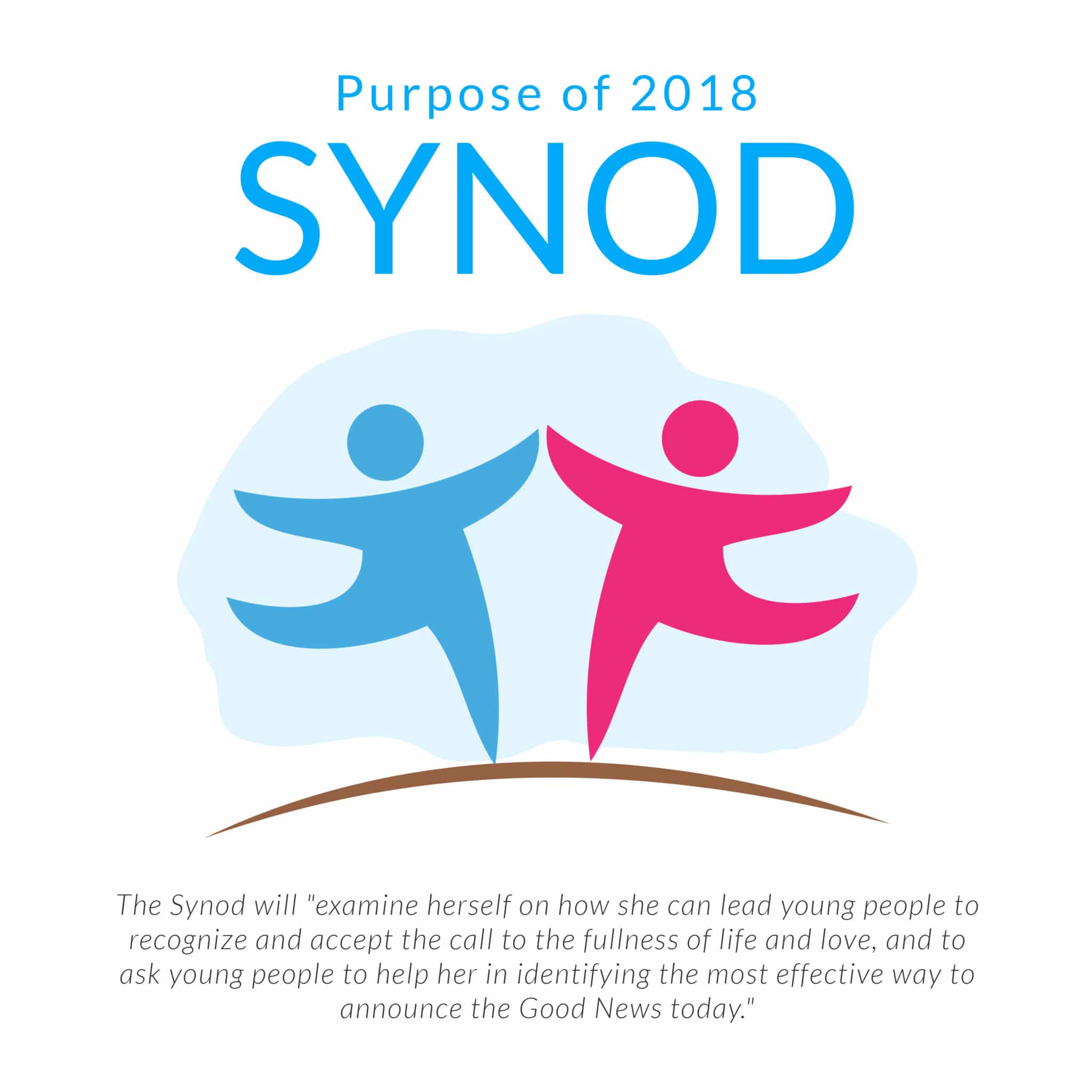 Purpose of 2018 - SYNOD