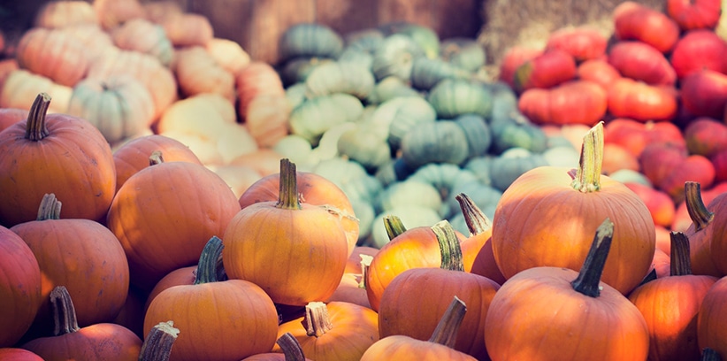 13 Fun Fall Date Ideas || Go To the Pumpkin Patch