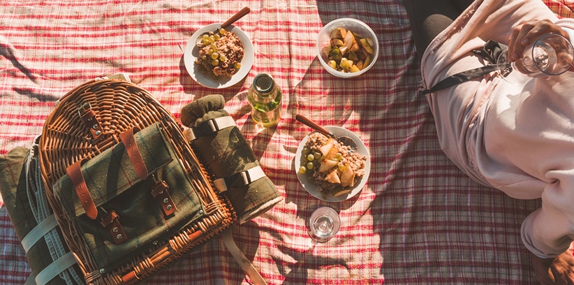 Picnic in the park