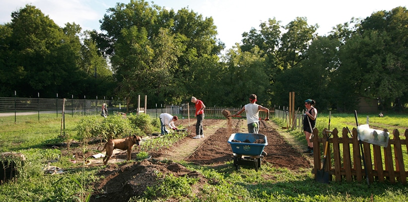 Homesteading