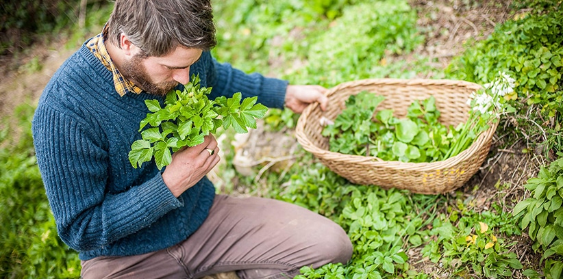 Foraging