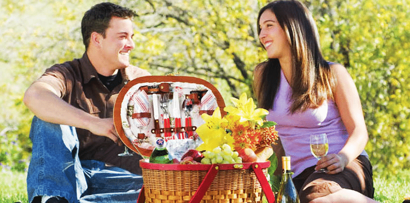 valentines day picnic date