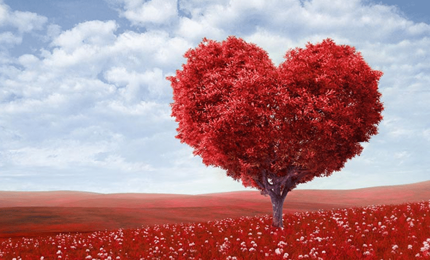 heart tree