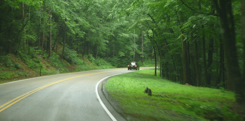 Newfound Gap Road–Great Smokey Mountains National Park, TN and NC
